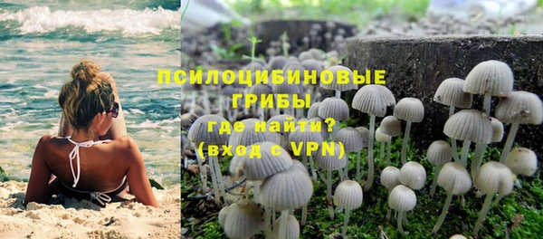 ГАЛЛЮЦИНОГЕННЫЕ ГРИБЫ Богородск