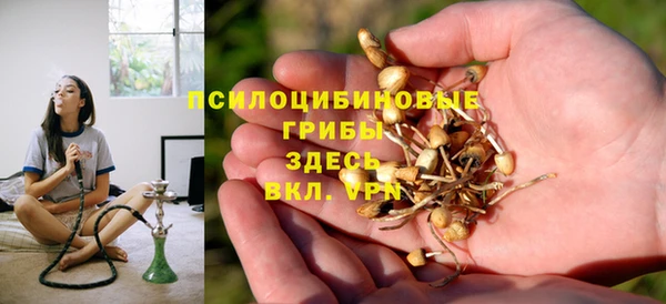 эйфоретик Богородицк